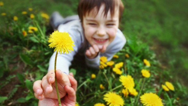 Child holding a dandelion in a field