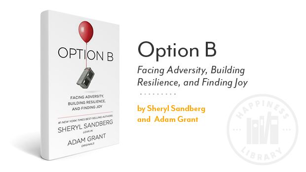 Book cover: Option B
