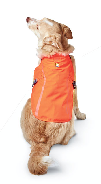 Safety jacket for dogs