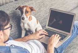 Casual man with dog working at home
