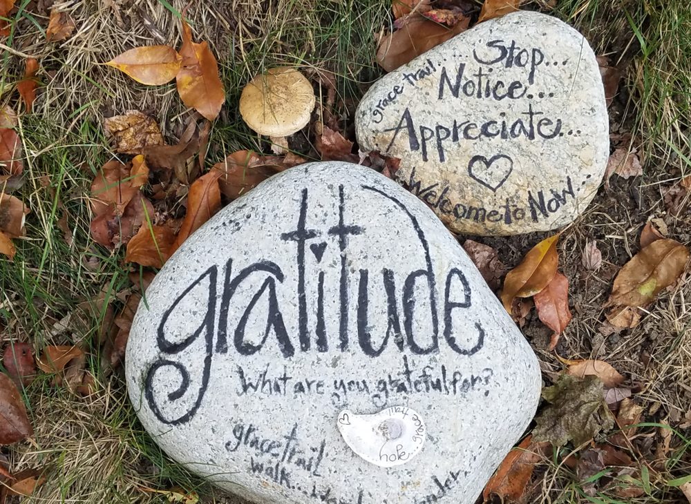 Gratitude What are you grateful rock